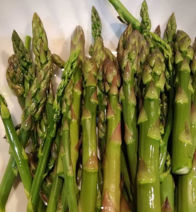 Asparagus Root Stock
